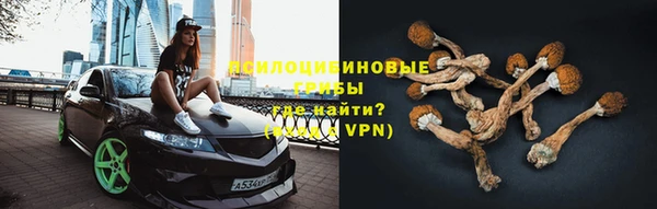 ешки Новокубанск