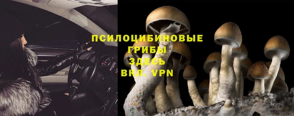 каннабис Новодвинск