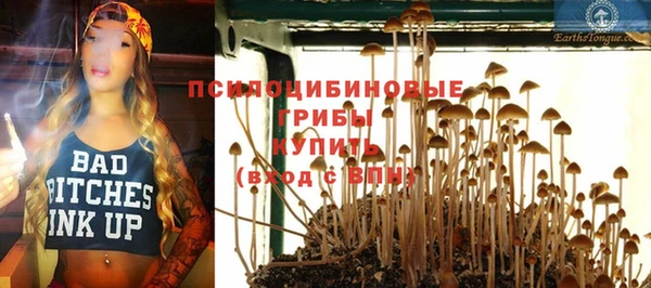 каннабис Новодвинск
