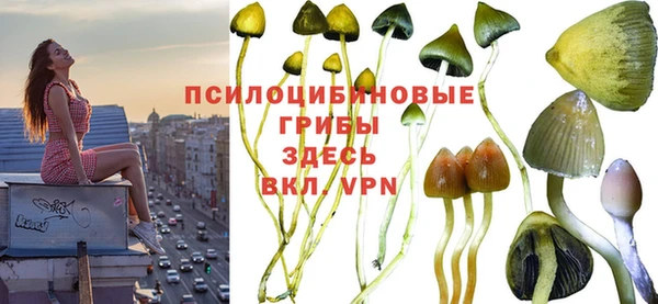 ешки Новокубанск