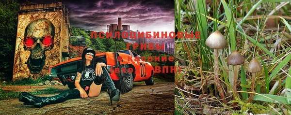 круглые Новозыбков