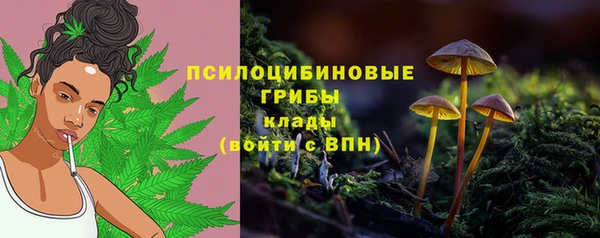 прущие крисы Анива