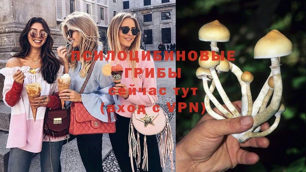 каннабис Новодвинск