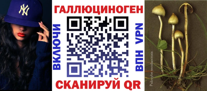 Галлюциногенные грибы Cubensis  ОМГ ОМГ   Агидель  где можно купить  